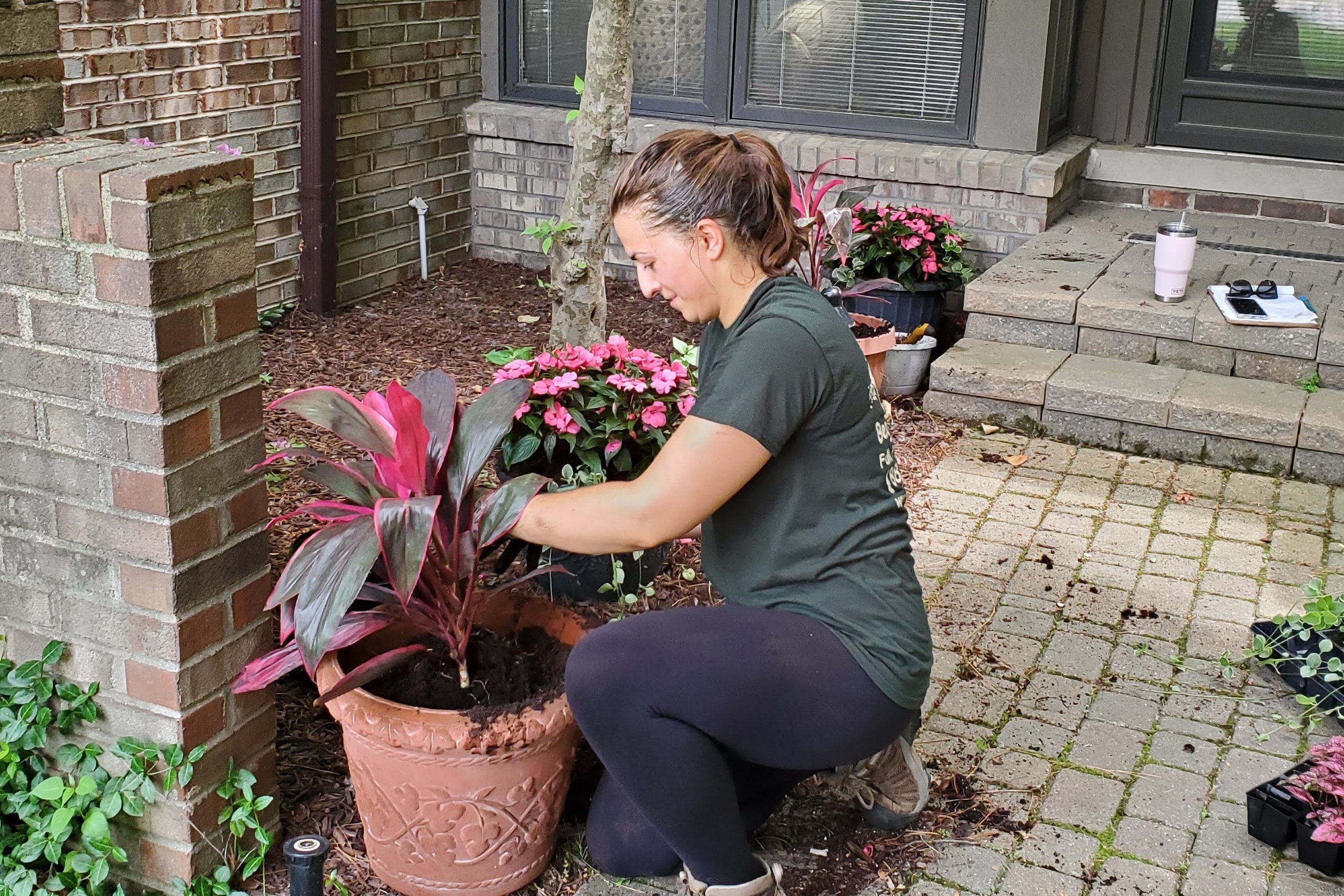 enhancements, flowers, potting, begonia brothers, northville, michigan