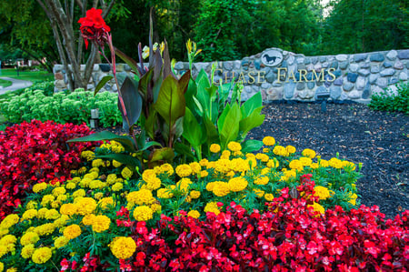 Chase Farms HOA, landscape enhancement, flowers, bed care, mulch