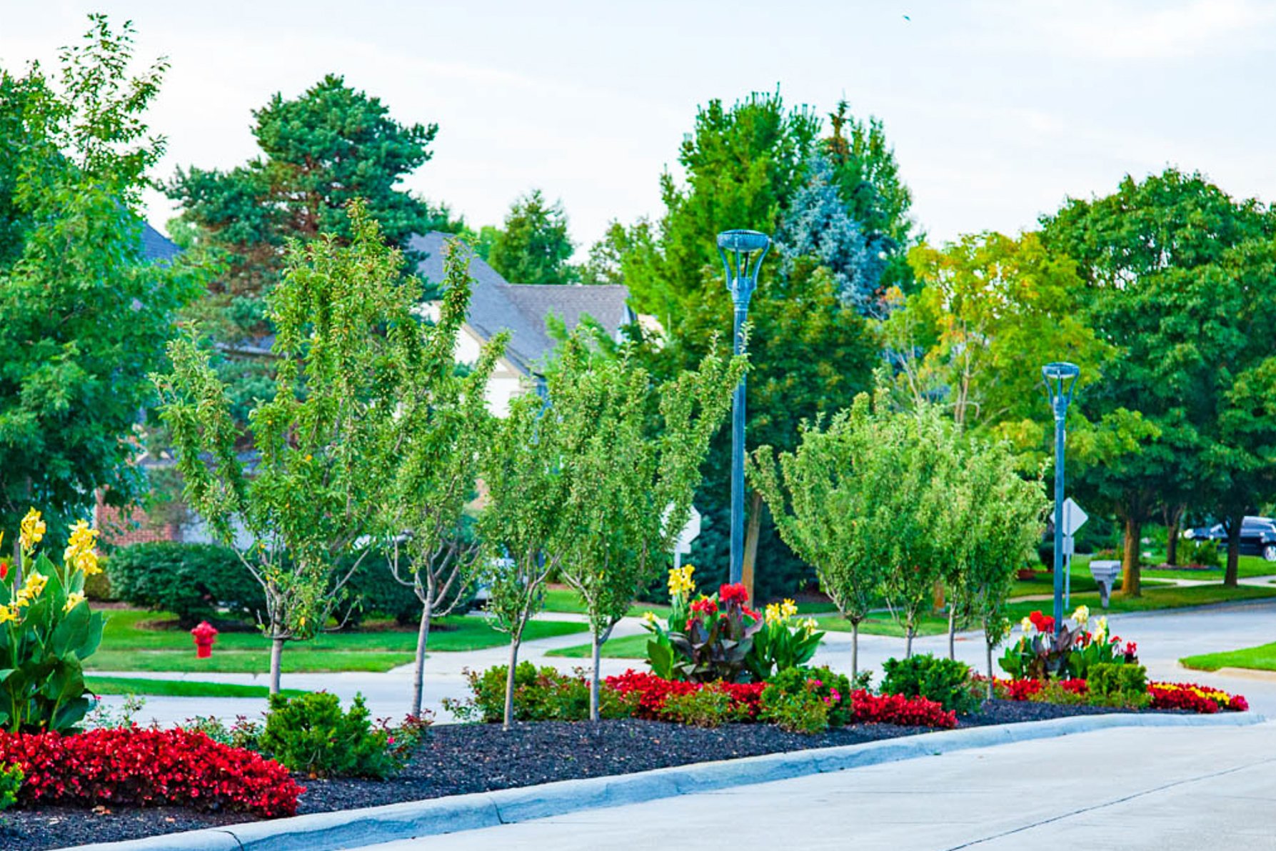 Center landscape bed, flowers, mulch, street lights, trees and plants