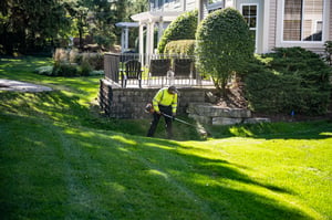Multi-family property and HOA maintenance, lawn trimming and edging